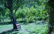 Murnong Self Contained Cottages - thumb 3
