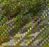 Stringybark Cottages - New Castle Holiday