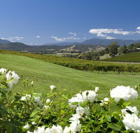 Balgownie Estate Vineyard Resort and Spa - New Castle Holiday