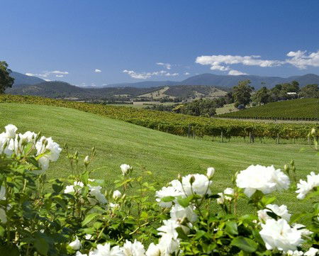Balgownie Estate Vineyard Resort And Spa - New Castle Holiday 0