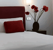Easystay at Blessington Street - New Castle Holiday