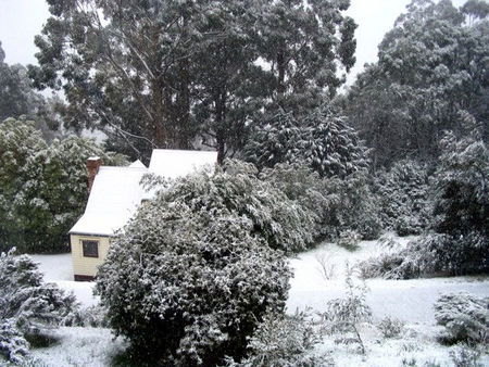 Tranquillity Cottage - New Castle Holiday 0