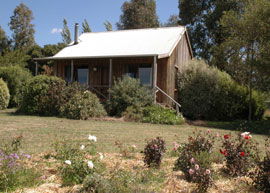 Bloomfield Cottages - New Castle Holiday 3