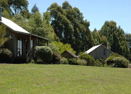 Bloomfield Cottages - New Castle Holiday 4