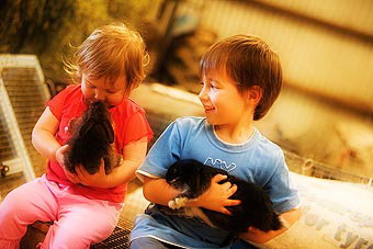 Mackas Farm - New Castle Holiday 1