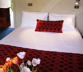 Parade Inn - New Castle Holiday 2