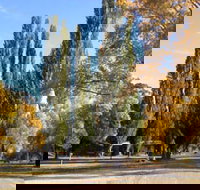 Omeo Caravan Park - New Castle Holiday