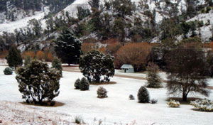 Omeo Caravan Park - New Castle Holiday 1