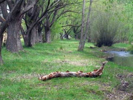 Omeo Caravan Park - New Castle Holiday 3