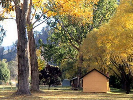 Omeo Caravan Park - New Castle Holiday 4