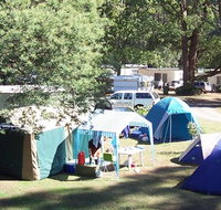 Black Spur Motel and Caravan Park - New Castle Holiday