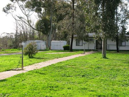 Murtoa Caravan Park - New Castle Holiday 4