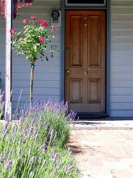 Airleigh - Rose Cottage - New Castle Holiday 2