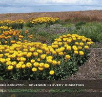 Alpine View Apartments - New Castle Holiday