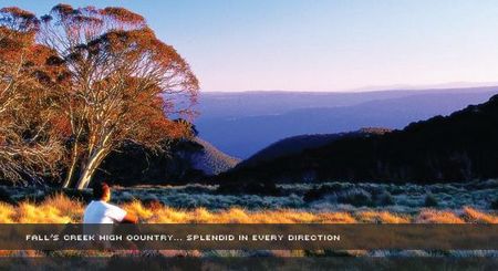 Alpine View Apartments - New Castle Holiday 1