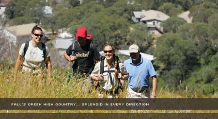 Alpine View Apartments - New Castle Holiday 3