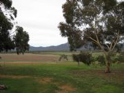 Barrahead Cottage - New Castle Holiday 1