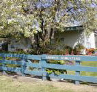 Ardwick Homestead - New Castle Holiday