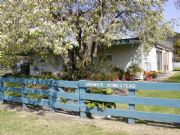 Ardwick Homestead - New Castle Holiday 0