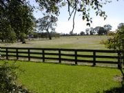 Ardwick Homestead - New Castle Holiday 2