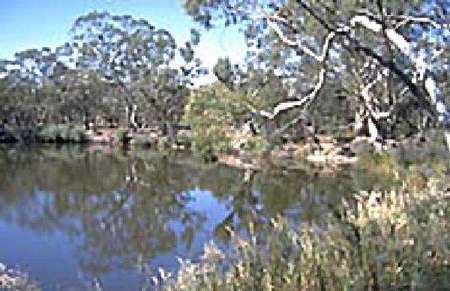 Riverside Host Farm - New Castle Holiday 1