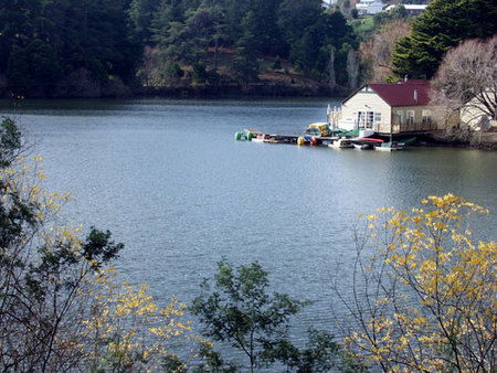 Azidene House - New Castle Holiday 1