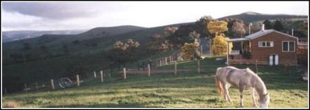 Idlewild Park Farm Accommodation - New Castle Holiday 1