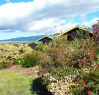 Black Cockatoo Cottages - New Castle Holiday