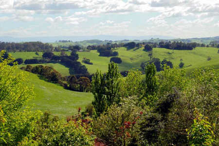 Bellview Hill - New Castle Holiday 2