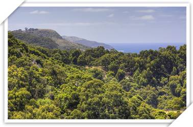 Beachcomber Motel And Apartments - New Castle Holiday 3