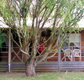 BIG4 Ballarat Windmill Holiday Park - New Castle Holiday