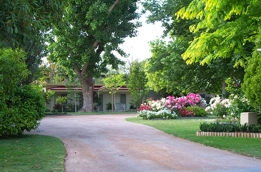 Aarinda Holiday Apartments - New Castle Holiday 0