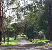 Moe Gardens Caravan Park - New Castle Holiday