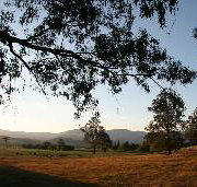 Cann River Rainforest Caravan Park - New Castle Holiday