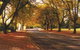 La Trobe At Beechworth - thumb 0