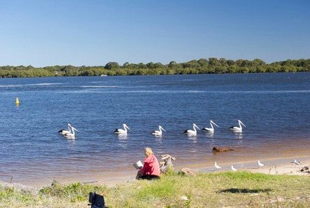 Ballina Central Holiday Park - New Castle Holiday 2