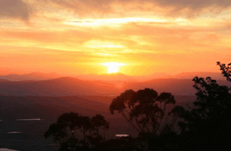 Avocado Sunset - New Castle Holiday