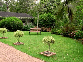 Tall Trees Motel - New Castle Holiday 2