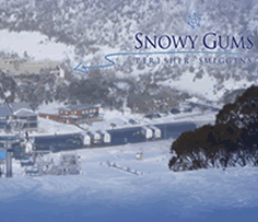 Snowy Gums Chalet - New Castle Holiday