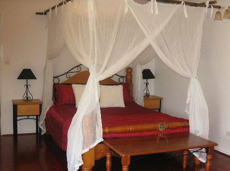 Attunga Park Country Retreat - New Castle Holiday 4