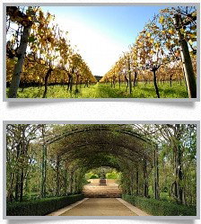 Morning Star Estate - New Castle Holiday 1