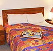 Homestead Motor Inn And Apartments - New Castle Holiday