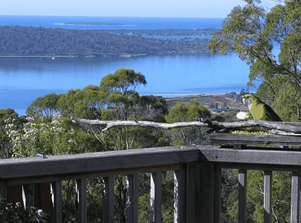Bed in the Treetops - New Castle Holiday