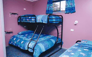 Homelea Accommodation Apartments - New Castle Holiday