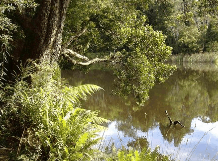 Telita TAS New Castle Holiday