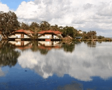 Lakeside Country Resort - New Castle Holiday