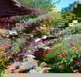 Chestnut Brook Cottage - New Castle Holiday