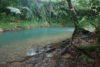 Diwan QLD New Castle Holiday