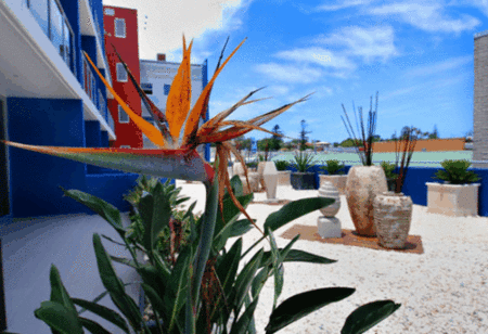 Mantra Quayside - New Castle Holiday 4