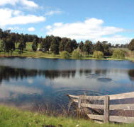 Glenlynn Cottages - New Castle Holiday